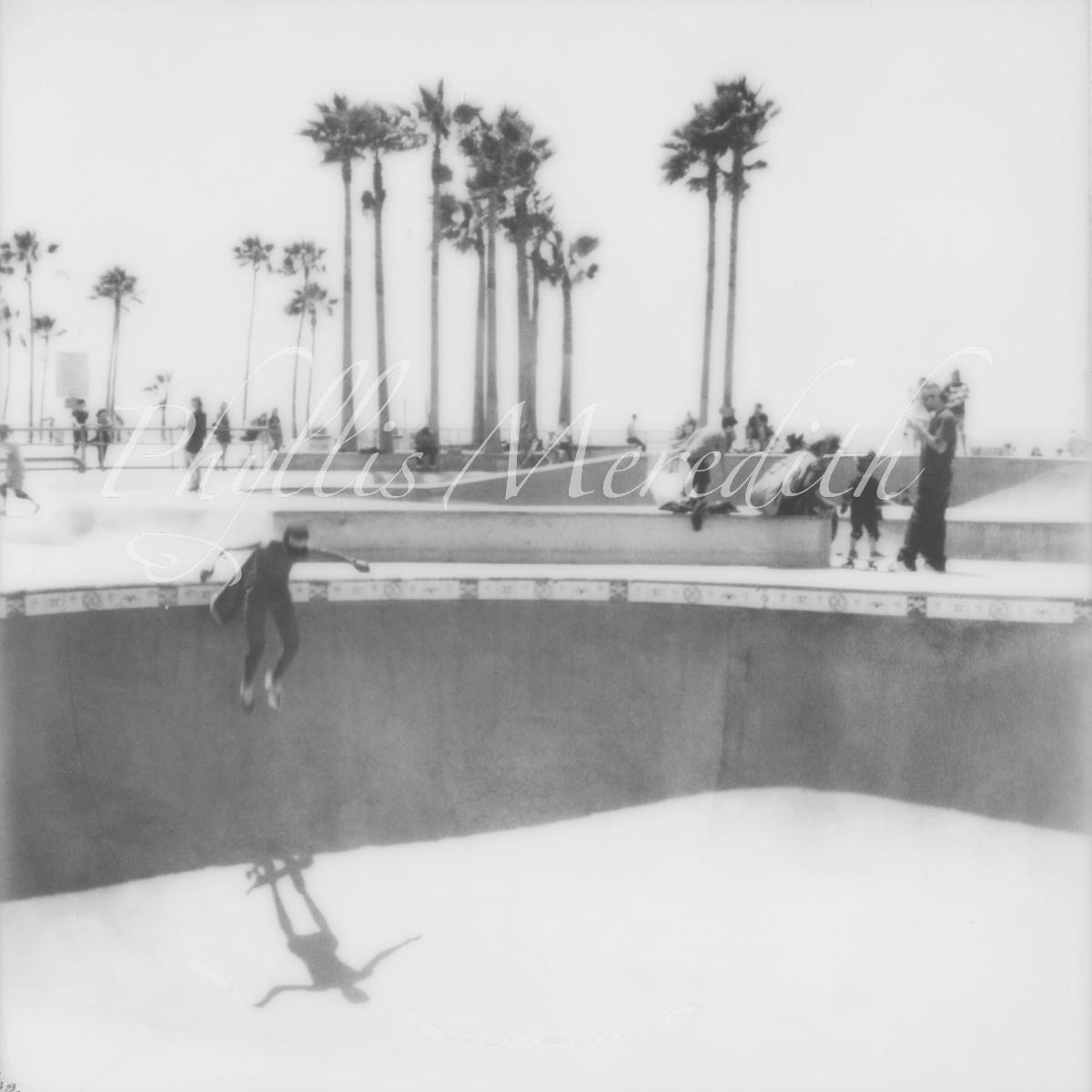 Skate Park Venice Beach CA
